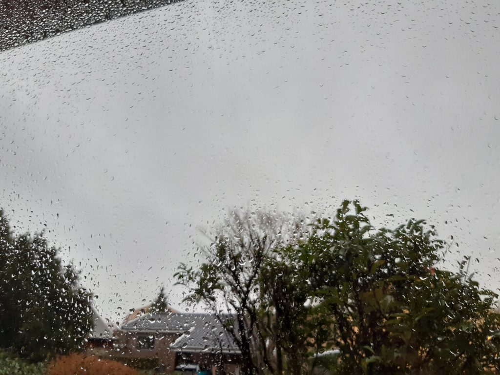 Regnvejr, vinterfråt