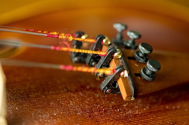 violin care strings