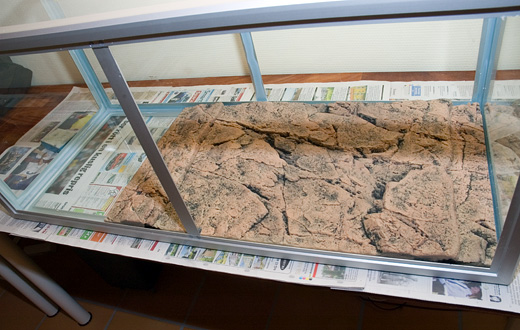 Den här fotoartikeln beskriver steg för steg monteringen av Back to Nature's Slimline-bakgrund i två 152-liters akvarier. Måtten på akvarierna är 95x40x40cm. En bakgrund av var färg används, en vit kalksten och en röd gnejs.