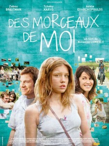 des_morceaux_de_moi