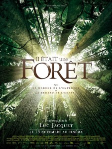 il_etait_une_foret_1378805606659