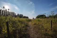 9._Blokkersdijk_©_Jonathan_Ramael-2-scaled