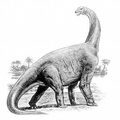 Dinosaur Footprints Oxfordshire