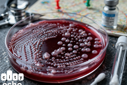 Canvas and Cream Review