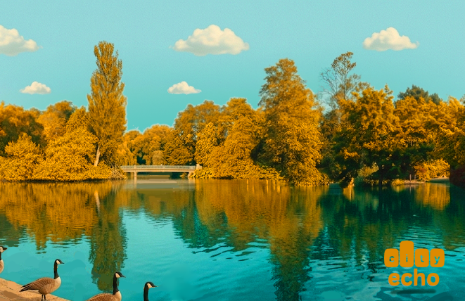 Upper Lake - Upper and Lower Lakes