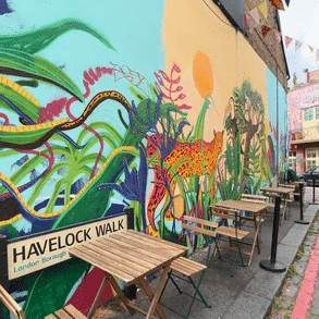 Canvas and Cream Review