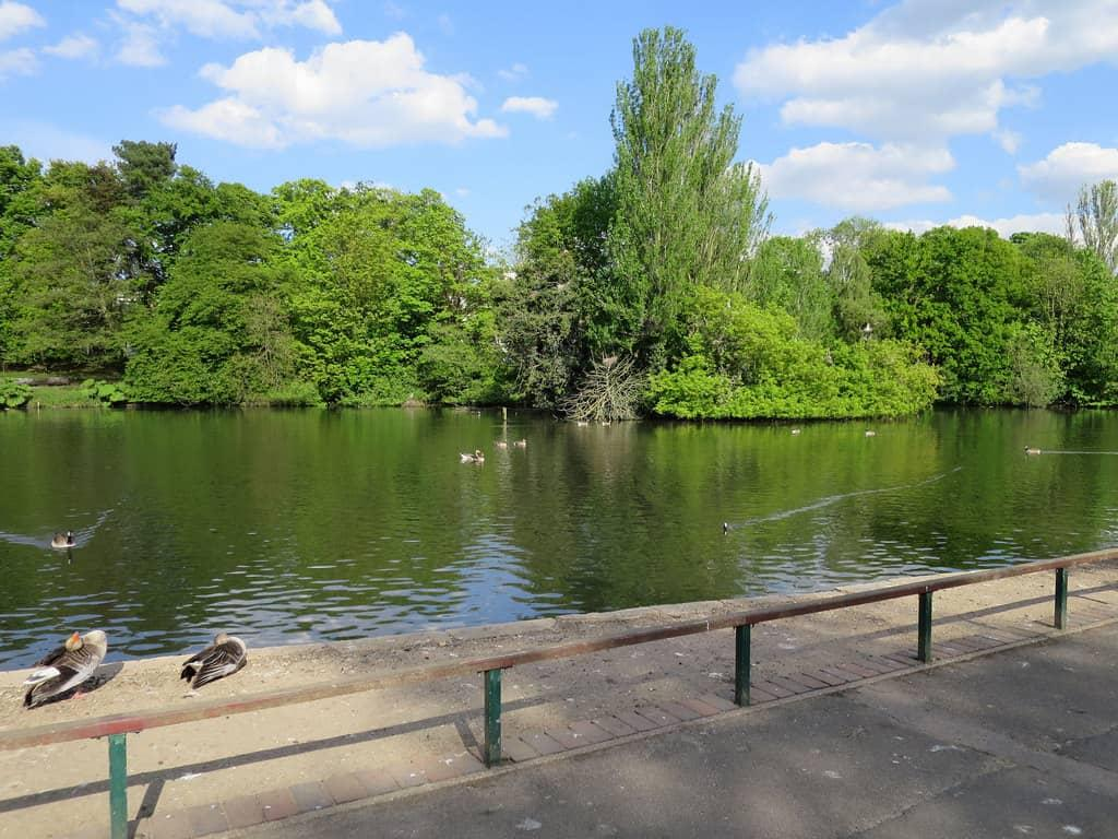 Kelsey Park