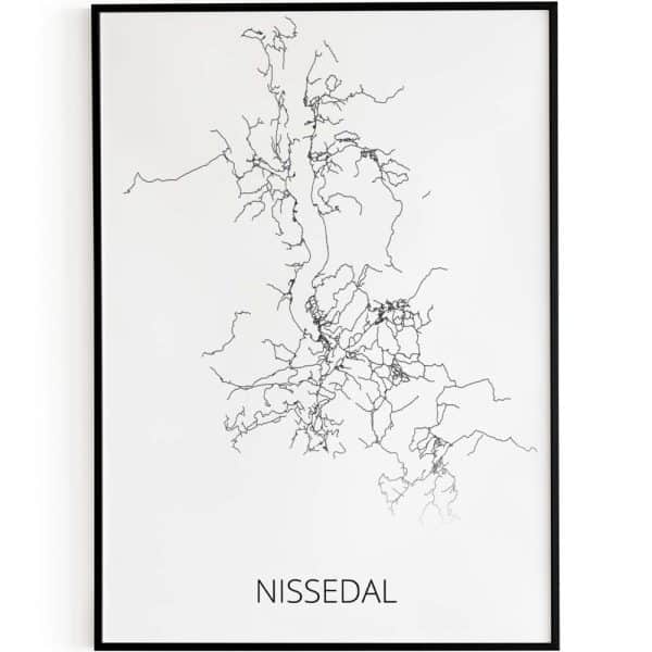 Nissedal2