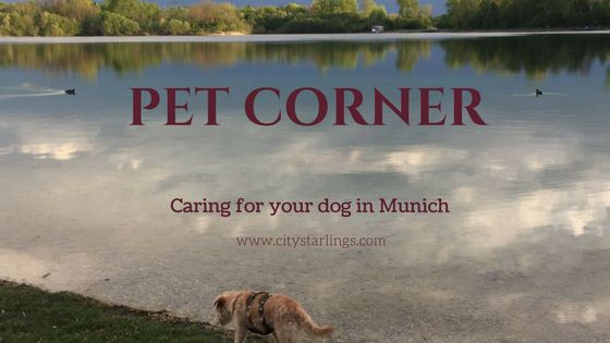 Caring for your pet in Munich