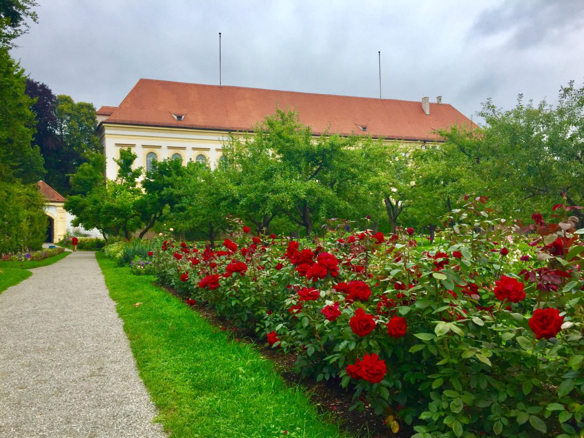 Rose gardens at the Royal Palace