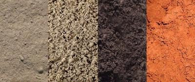 Loam Soil