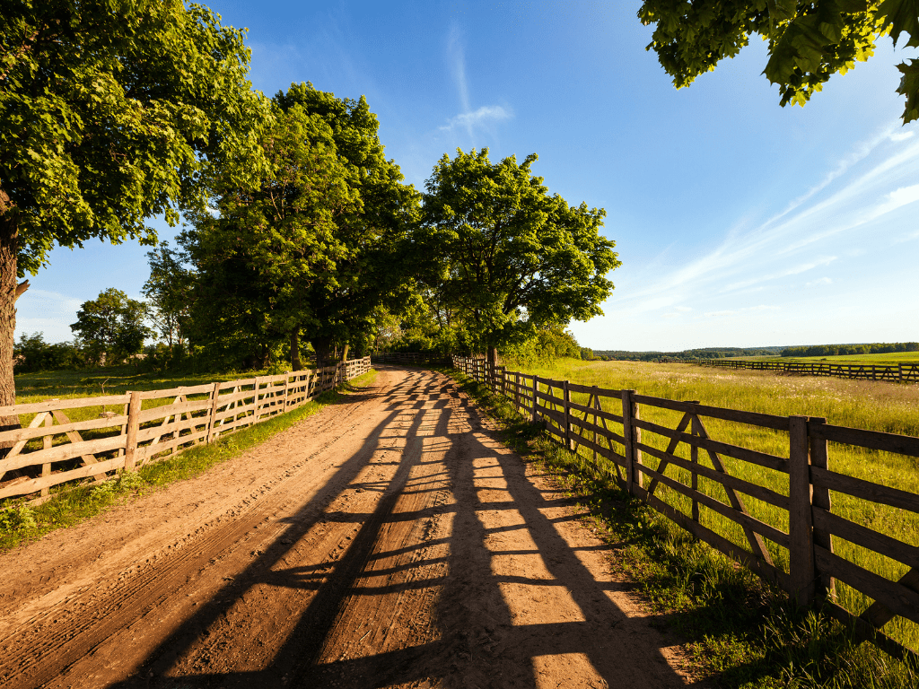 Starlink Internet Connectivity in Rural Farms