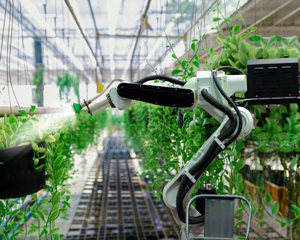 starlink-iot-farming-argriculture starlink for iot farming argriculture