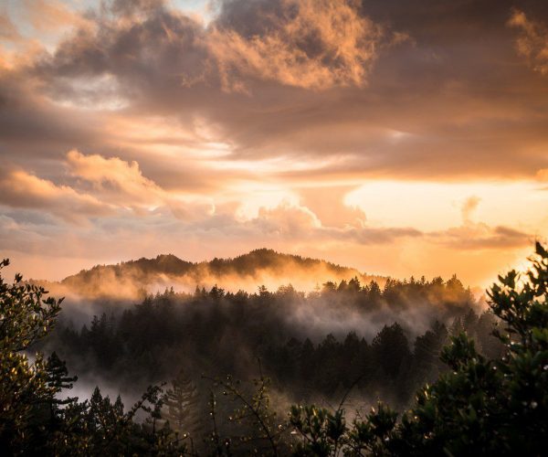 mountains-forest-sunset-5946500 mountains, forest, sunset-5946500.jpg