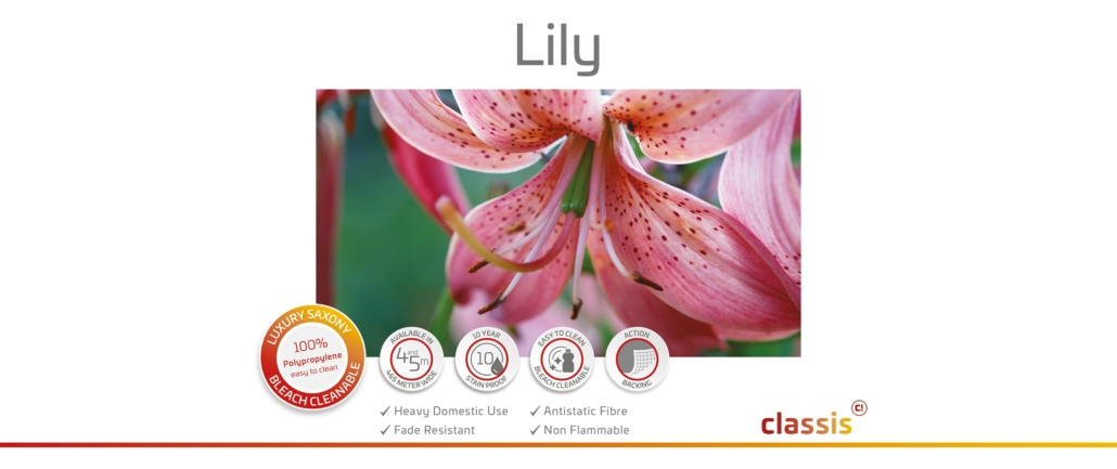 Lily Website 3000x1260px