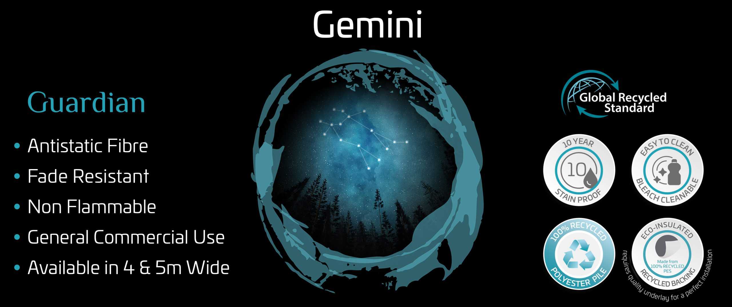 Website_Gemini_3000x1260px