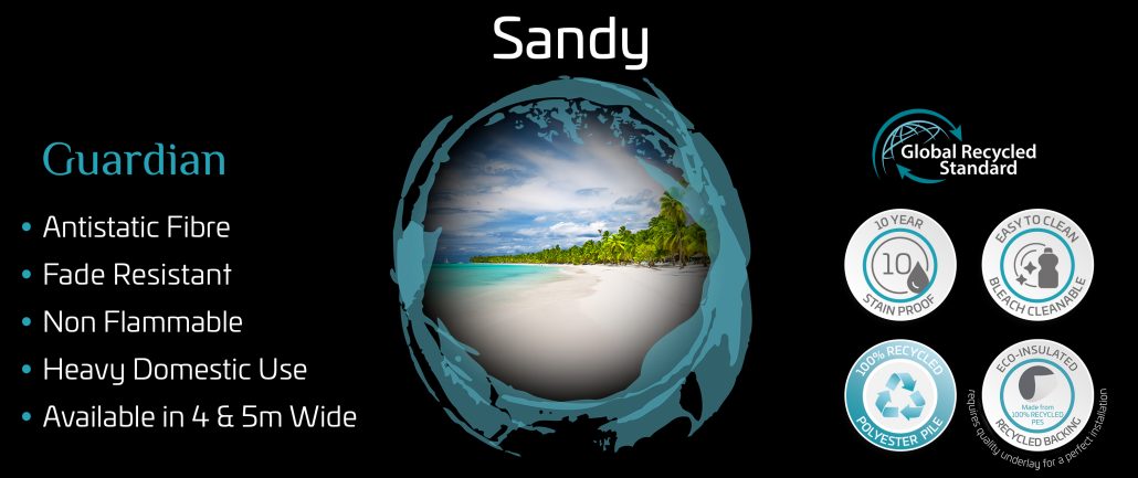 Website_Sandy_3000x1260px