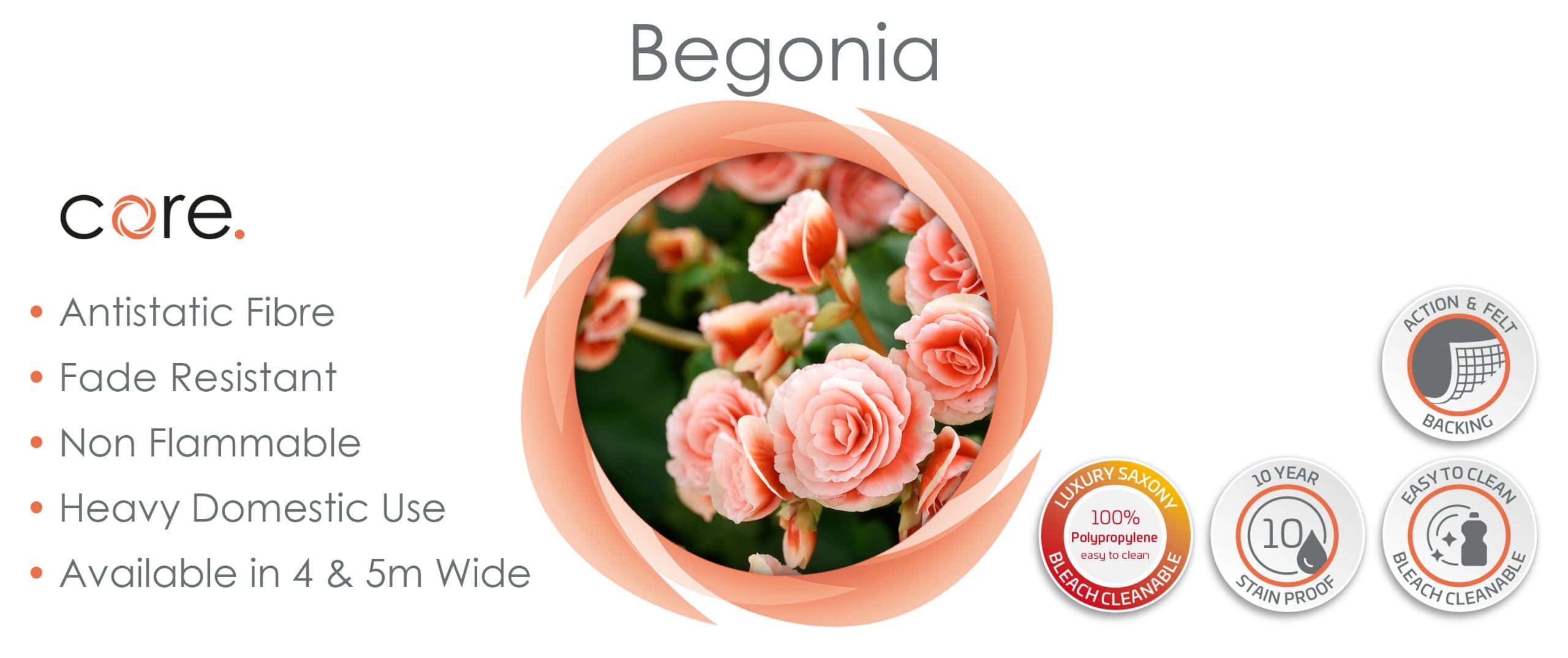 Website_Begonia_3000x1260px