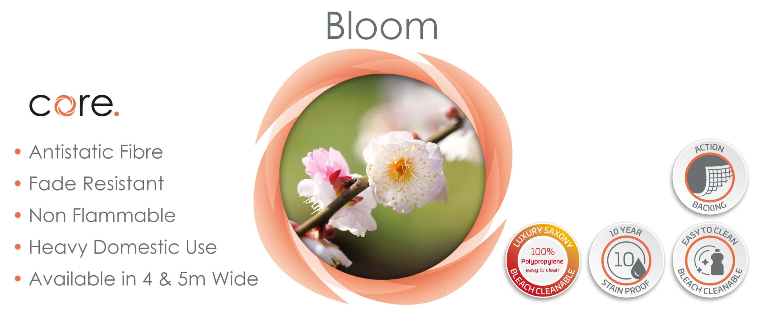 Website_Bloom_3000x1260px
