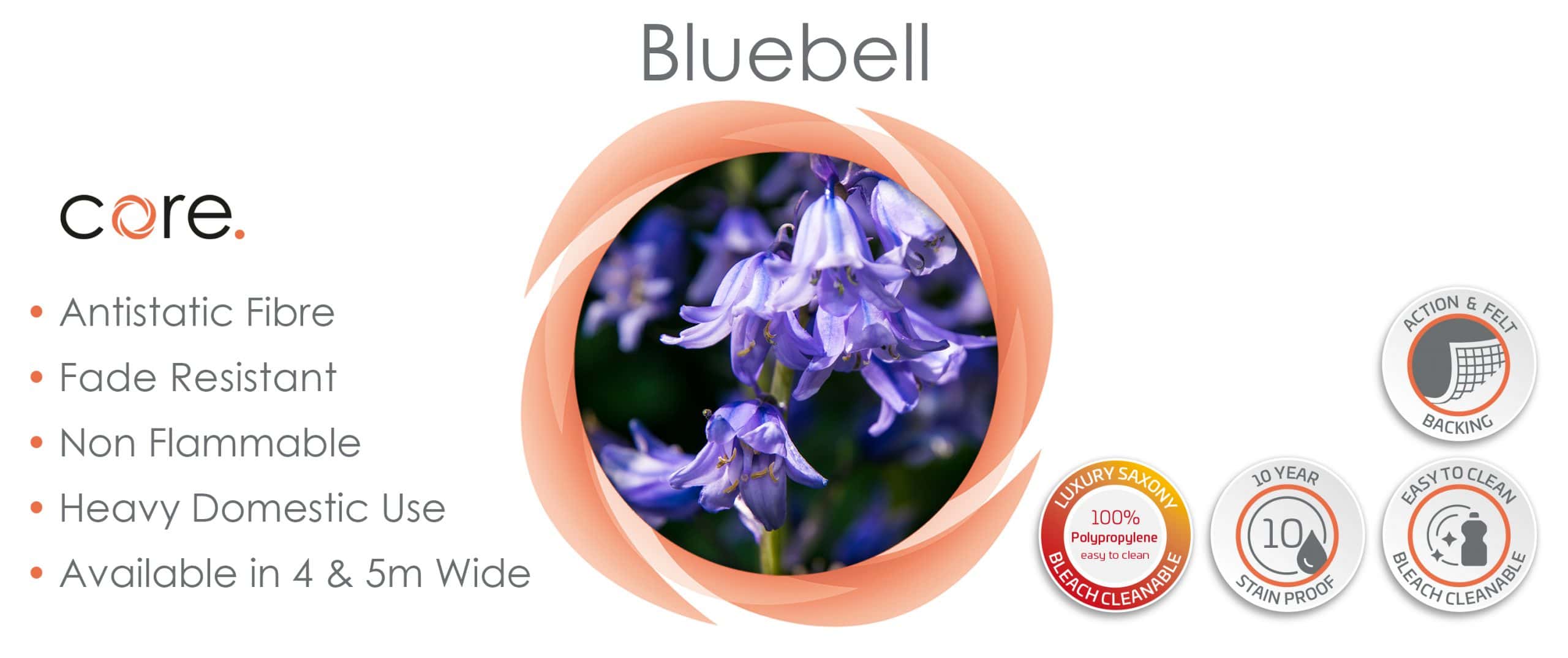 Website_Bluebell_3000x1260px