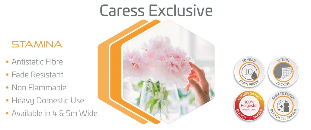 Website_Caress Exclusive_3000x1260px