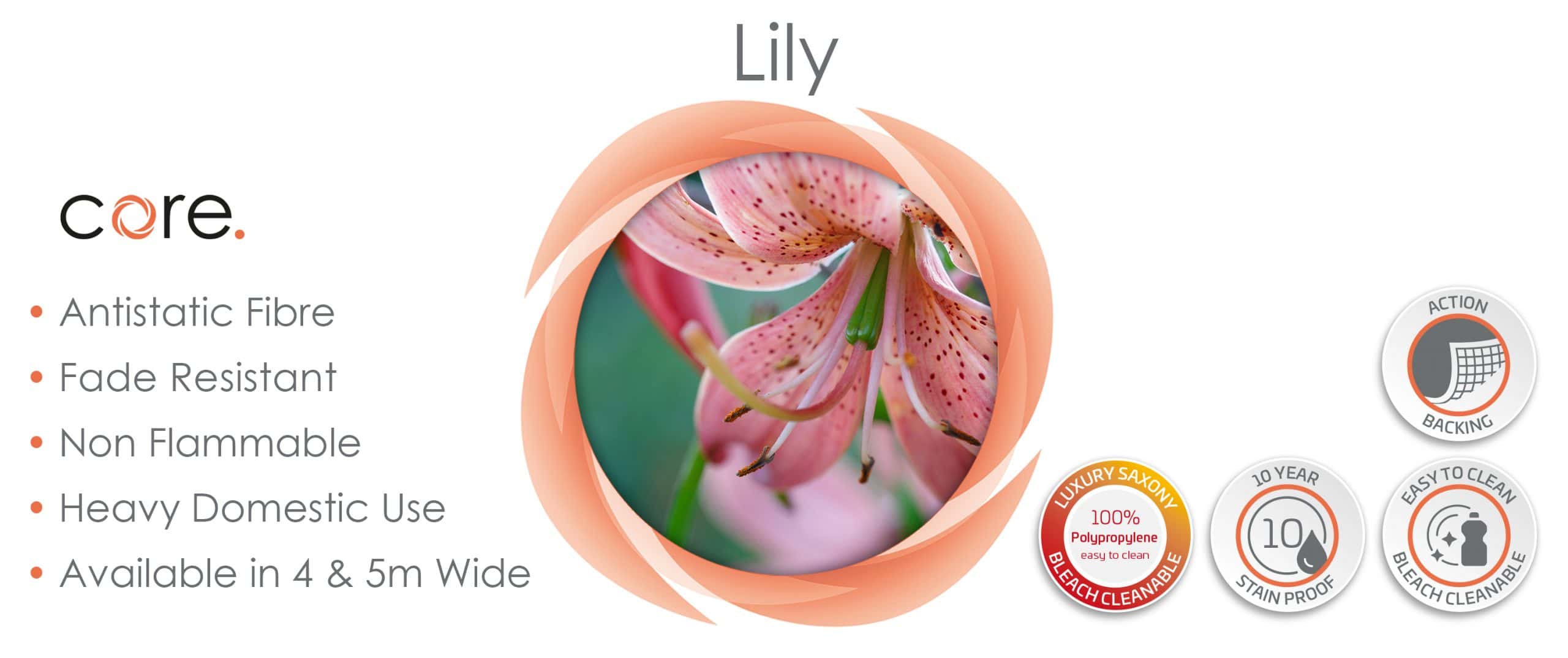 Website_Lily_3000x1260px