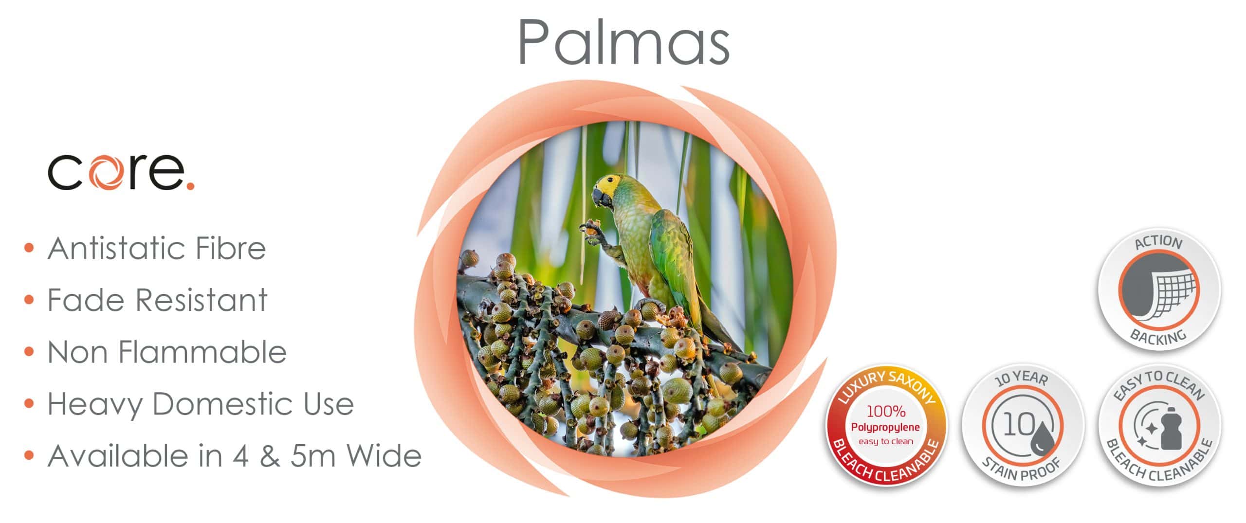 Website_Palmas_3000x1260px