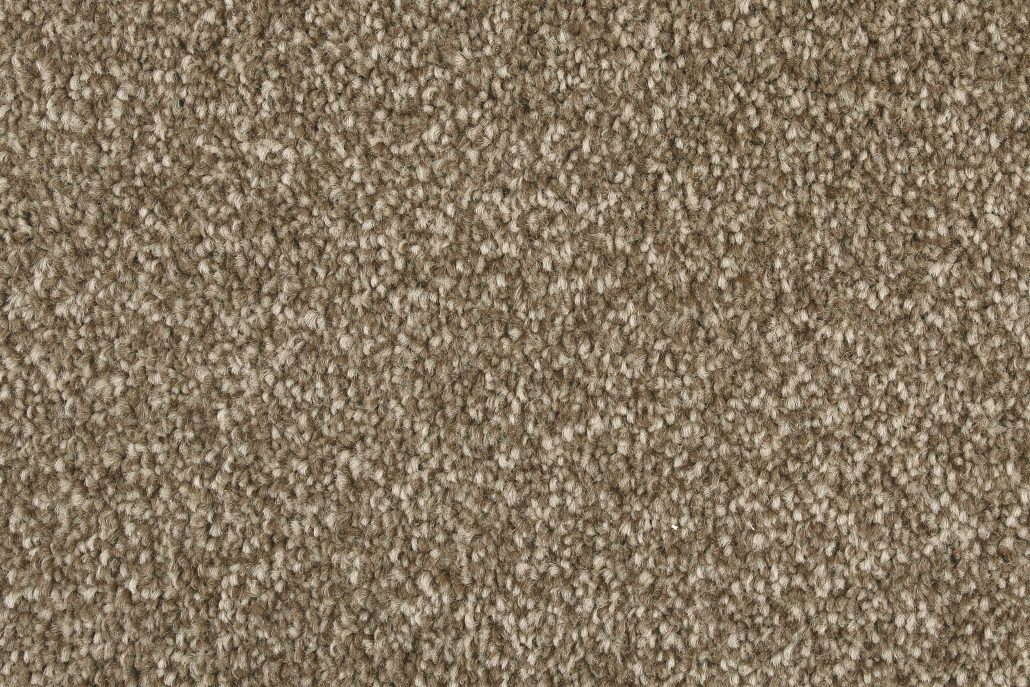 1203 Hazelnut