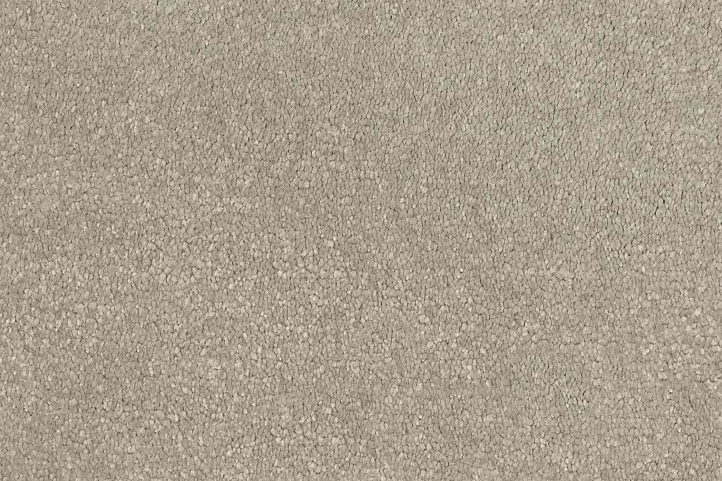 1811 Canvas