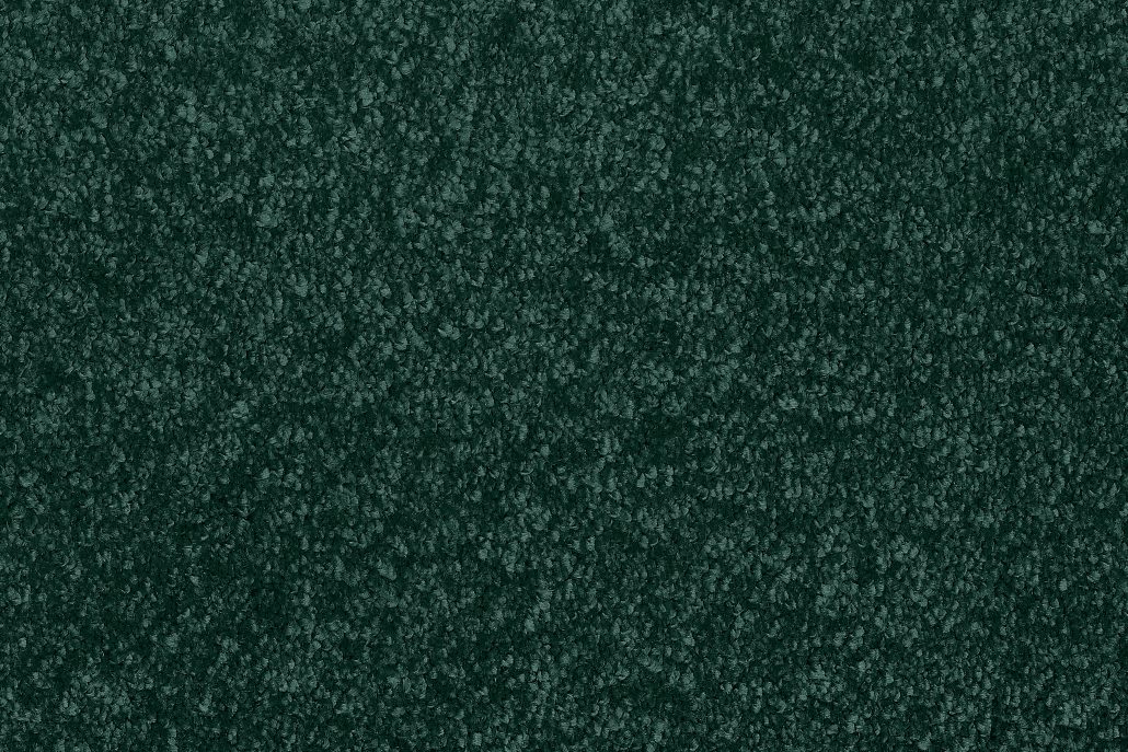 622 Forest