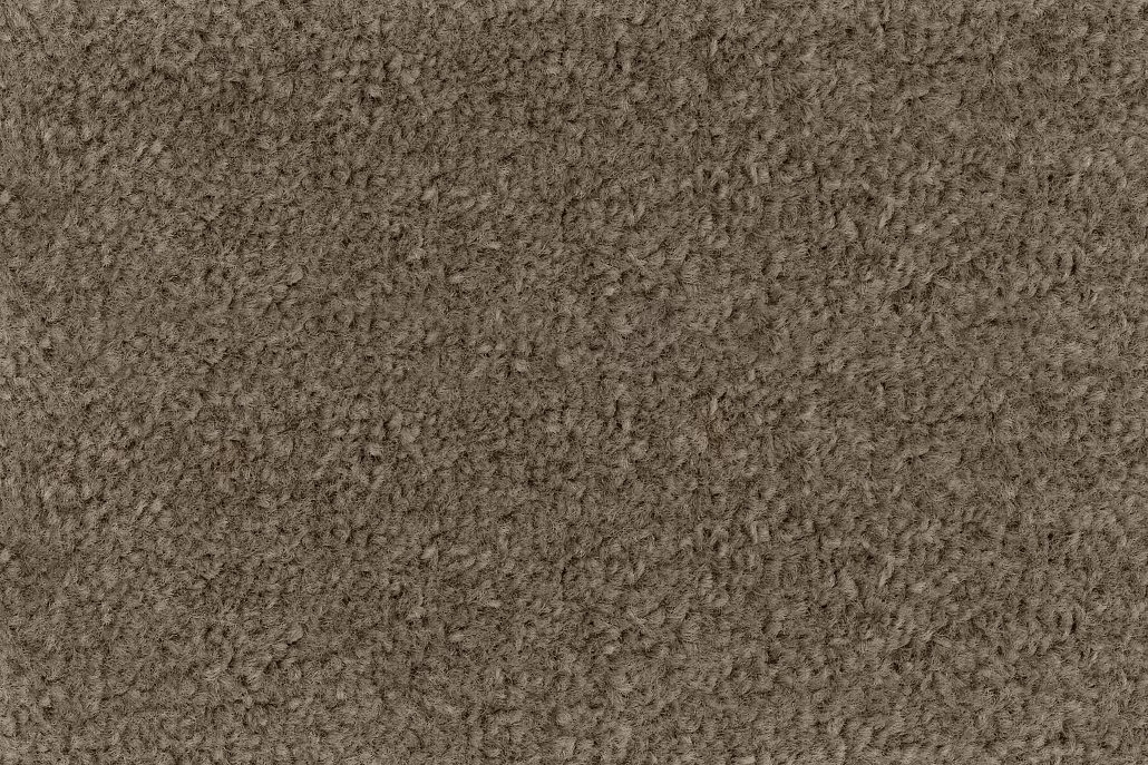 7710 Bronzit