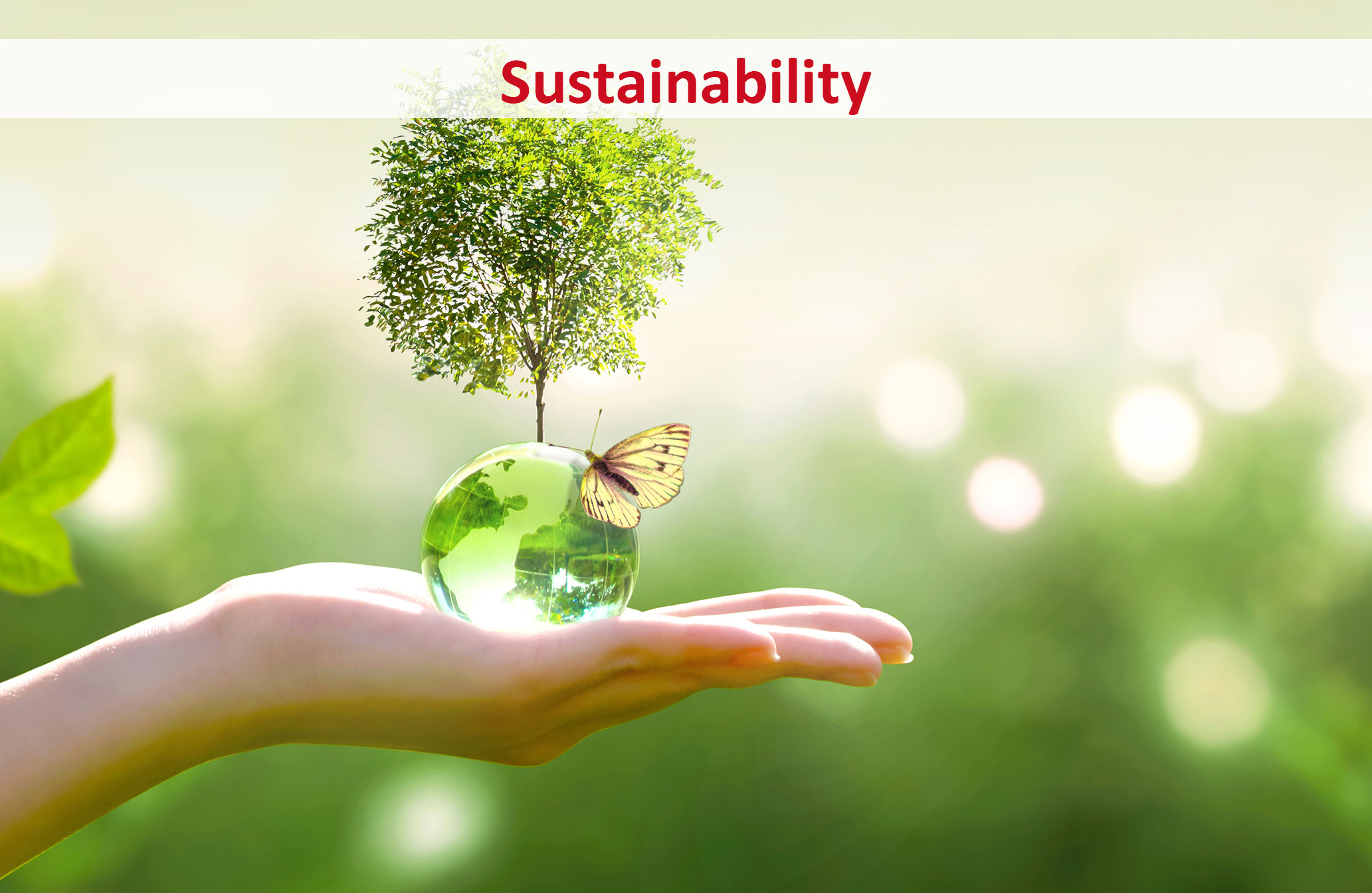 intro_infinity-grass_sustainability