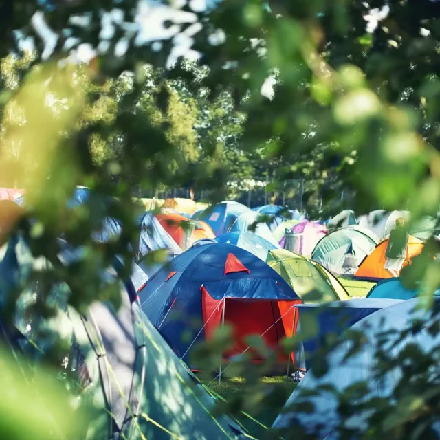 Tents at a festival / Telte til en festival