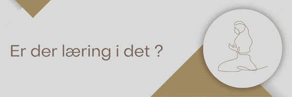 Er der læring i det ?