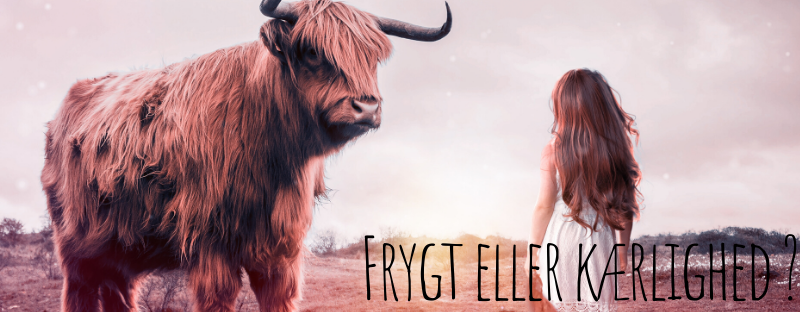 Frygt eller kærlighed ? Frygt eller kærlighed ?
