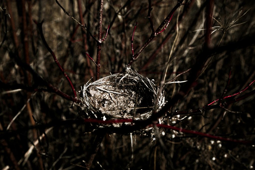 empty nest met hannette otten