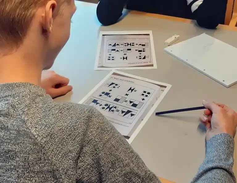 Opgaver - hader matematik