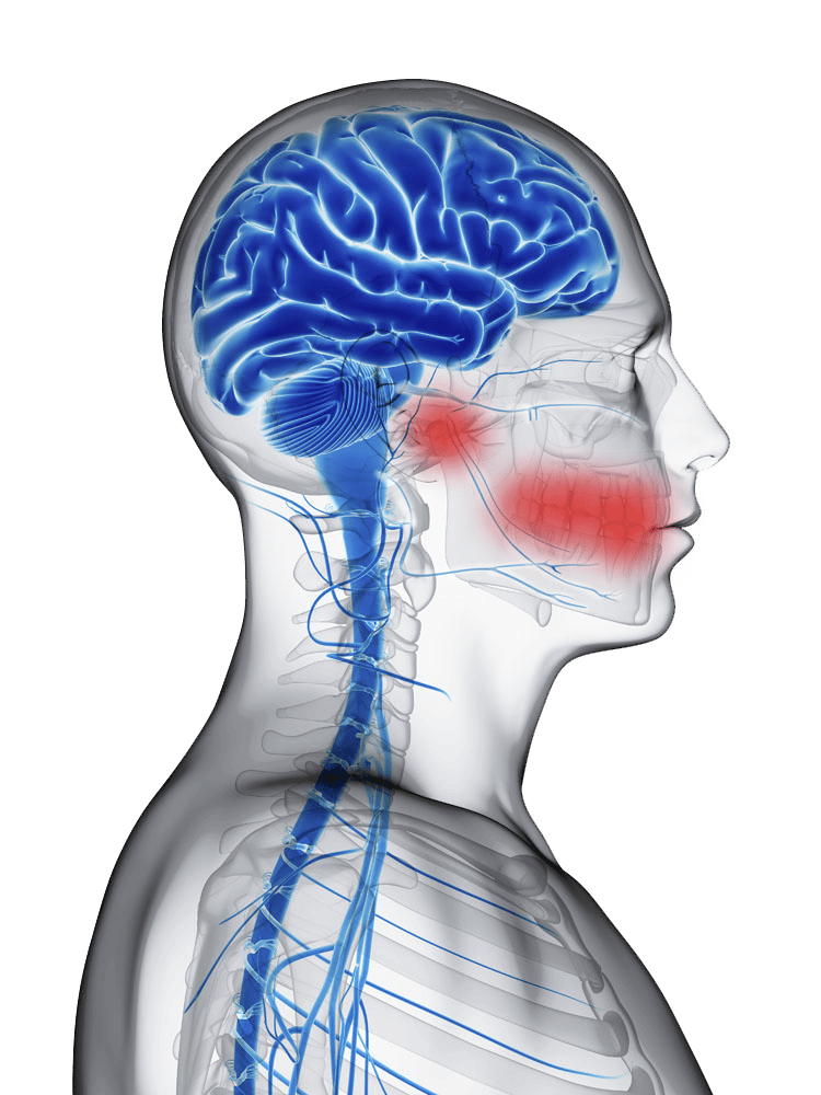 Diagnosi e cura del bruxismo sistema nervoso clinica del sorriso ferrara