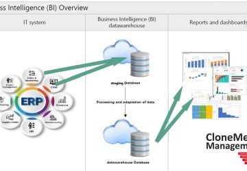 BI flow overview