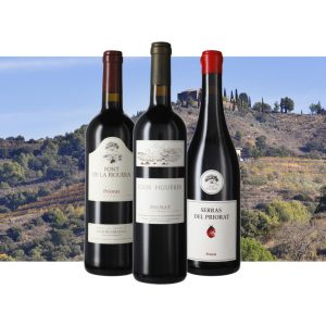 Pack Lote vinos Clos Figueras