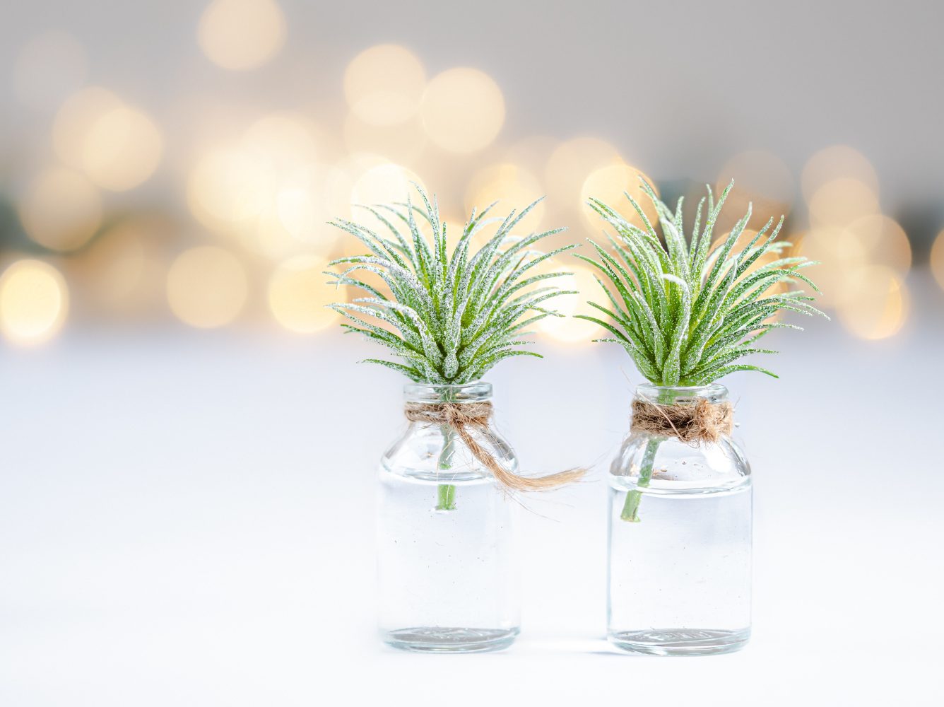 shallow-focus-photo-of-green-leafed-plant-in-vials-3123916