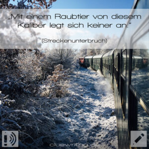 S20E18 | Streckenunterbruch