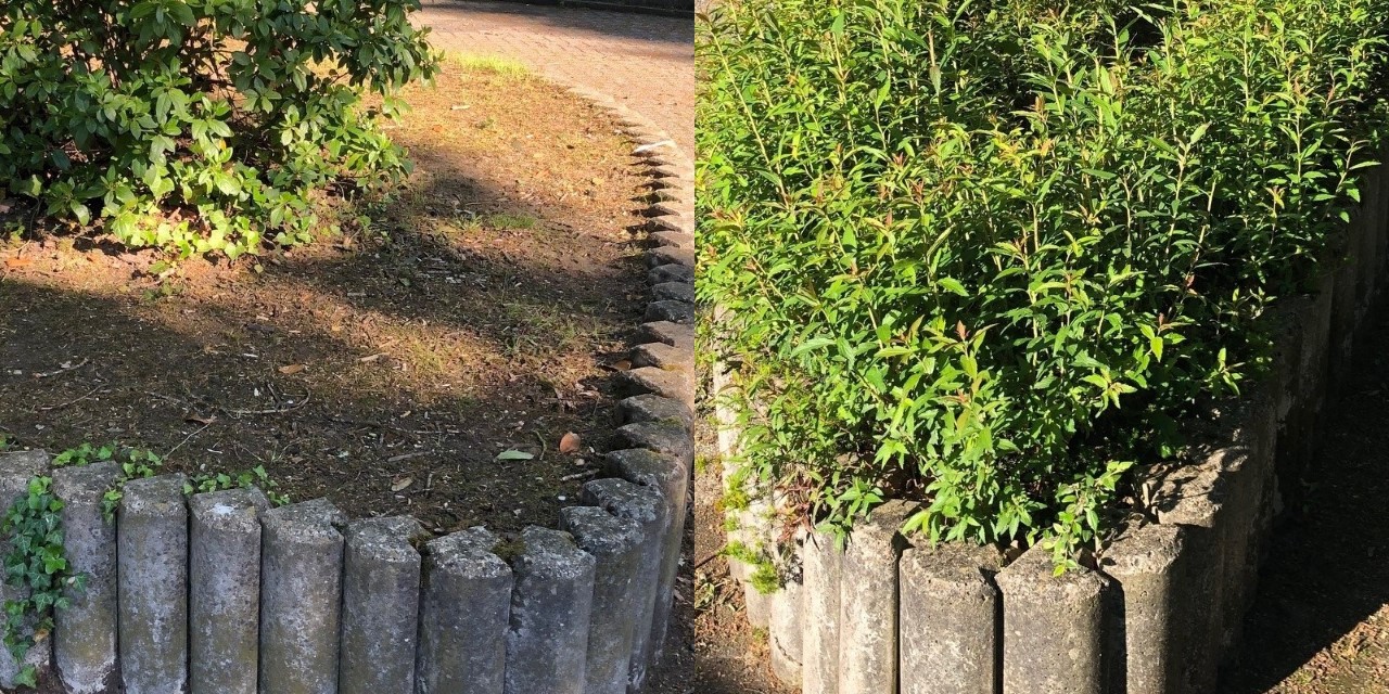 Gratis compost voor de groenbakken op de pleintjes