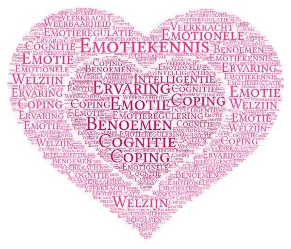 Emotiekennis ervaring benoemen cognitie emotionele intelligentie emotieregulering emotieregulatie coping welzijn veerkracht weerbaarheid gedragsverandering