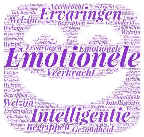 Emotionele Intelligentie emotie ervaringen begrippen veerkracht welzijn  gedragsverandering