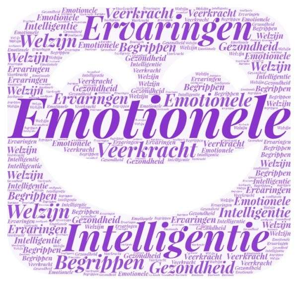 klacht naar kracht emotie boosheid verdriet angst stress depressieve klachten dagboek zelfobservatie actie verandering coaching stress hulp