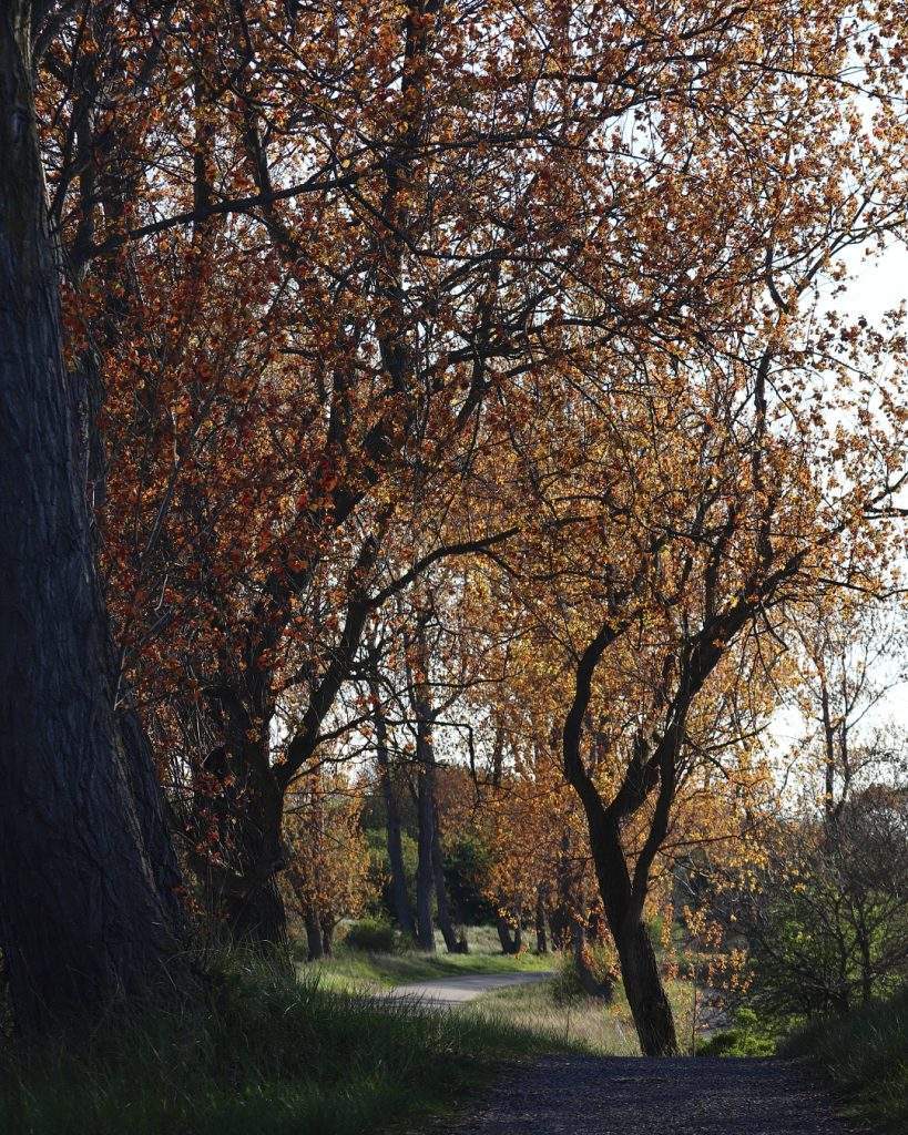 duurzaamheid psychologie klimaat gedrag visie invloed motivatie hoop nudging communicatie voorbeeld reputatie normen stappen verandering wandelcoach