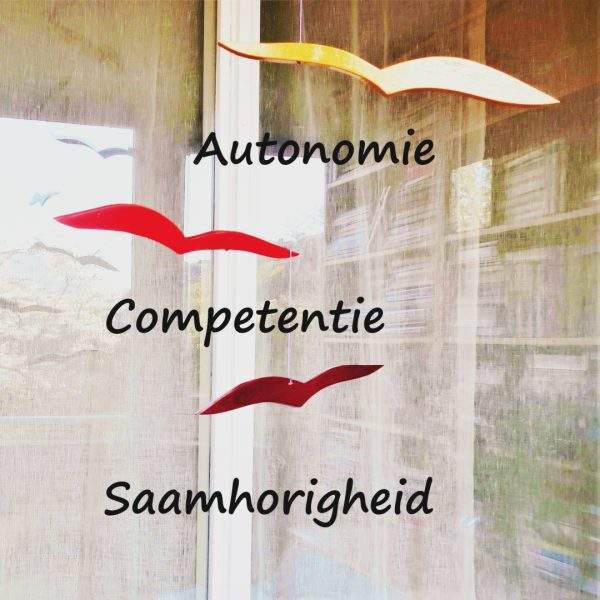 zelfdeterminatietheorie, dat de intrinsieke motivatie van mensen samenhangt met 3 factoren (psychologische basisbehoeften) : autonomie, competentie en saamhorigheid