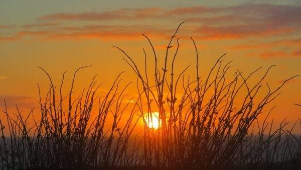 zonsondergang Natuurbeleving en welzijn