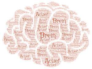 brein hersenen emotie waarneming actief voorspellen constructivistisch Lisa Feldman Barrett leren veranderen trauma